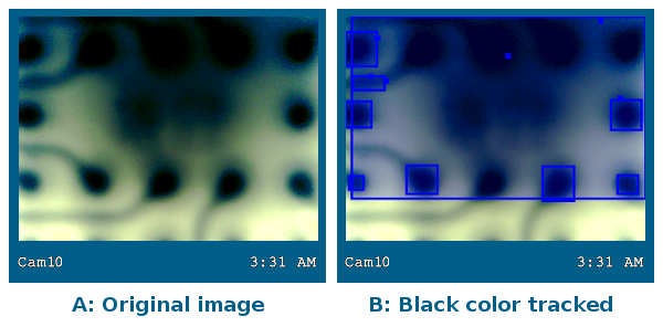 black is the most dominant color