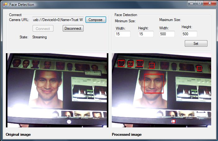 detected faces in C#